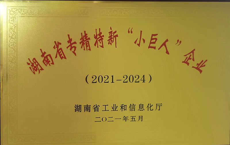 湖南省專精特新“小巨人”企業(yè)